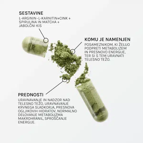 Metabolism support-1 Metabolism support-1