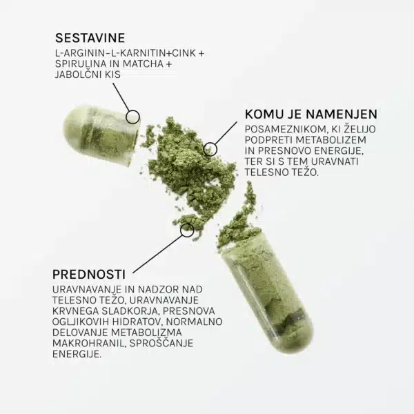 Metabolism support-1 Metabolism support-1
